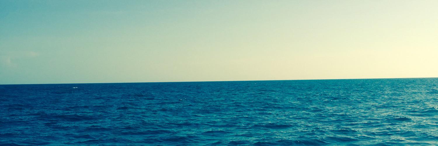 kelsdalrymple's profile banner image