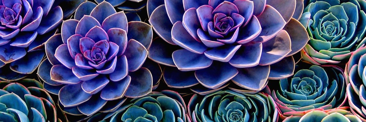 mightymarins's profile banner image