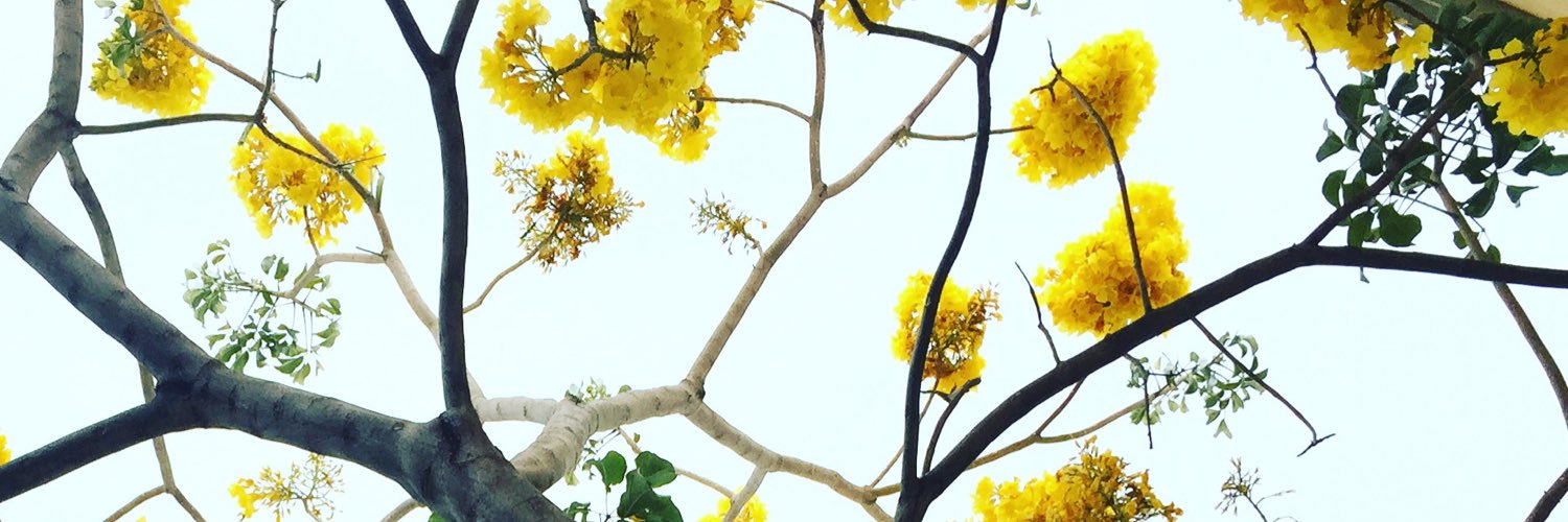 M909Paty's profile banner image