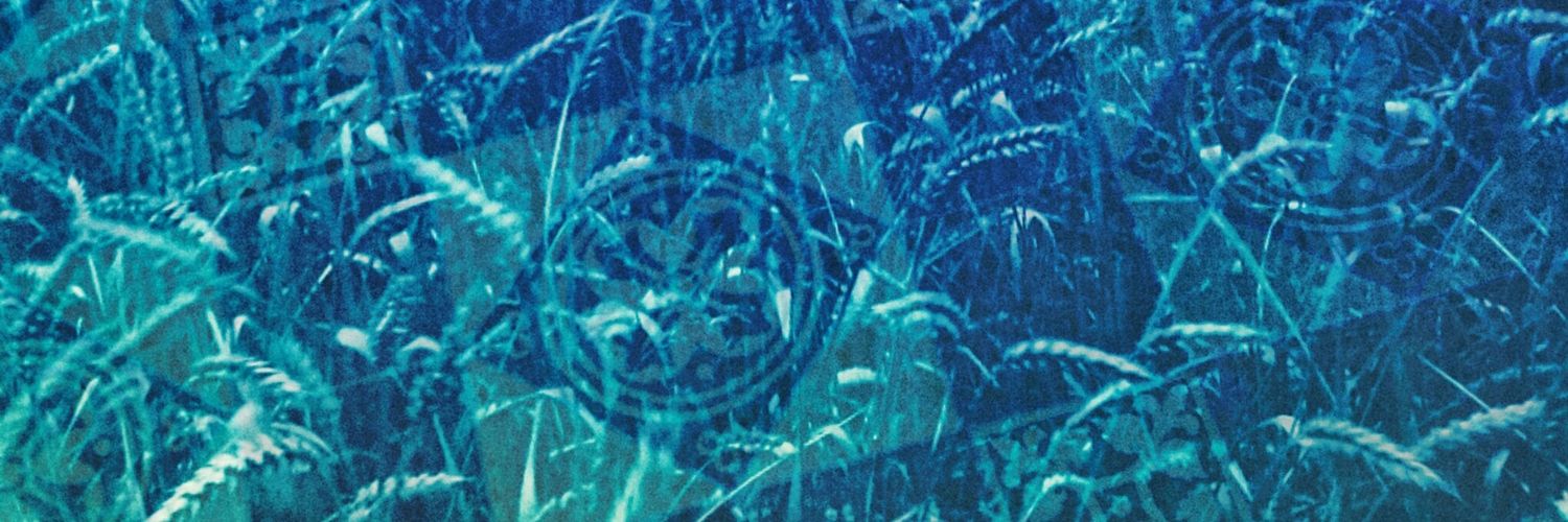 Paul McCarthy banner