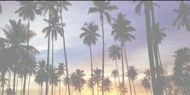 Corneliaa_x's profile banner image