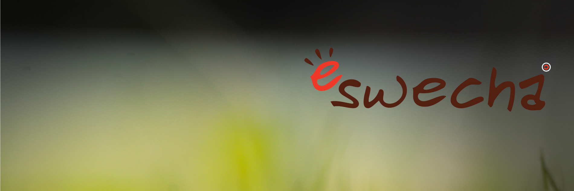 prataplr's profile banner image