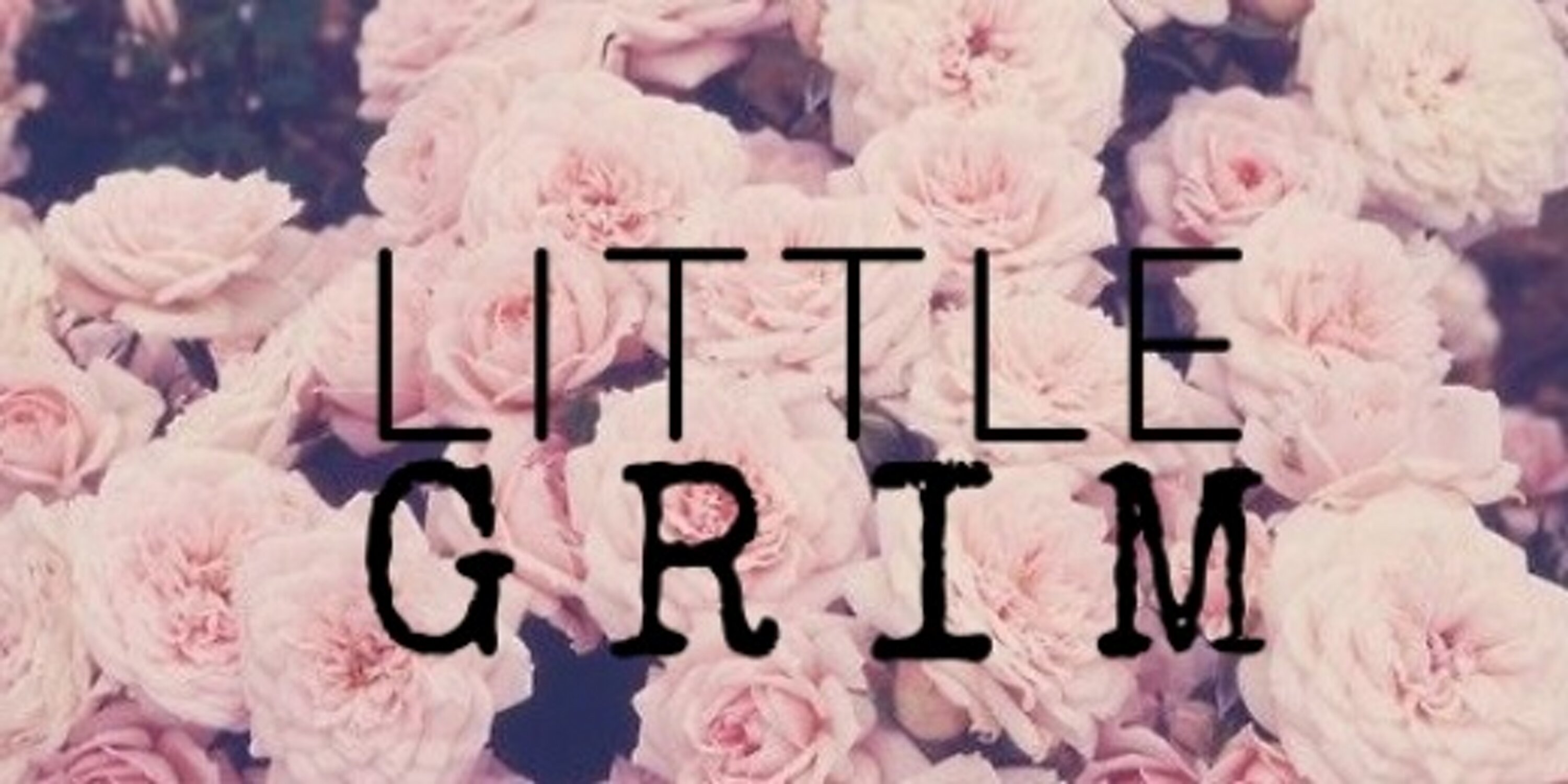 littlexgrim's profile banner image