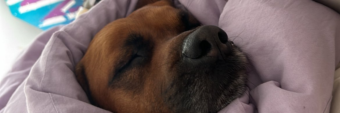 linsita_'s profile banner image