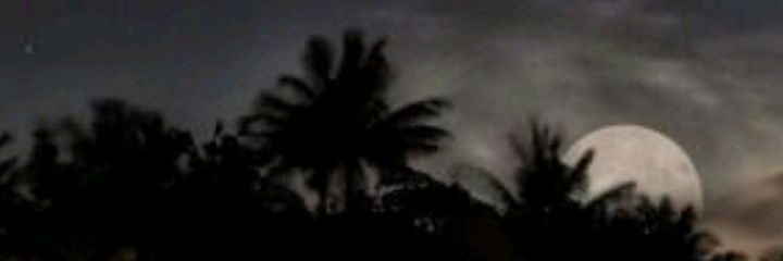 sultan2222073's profile banner image