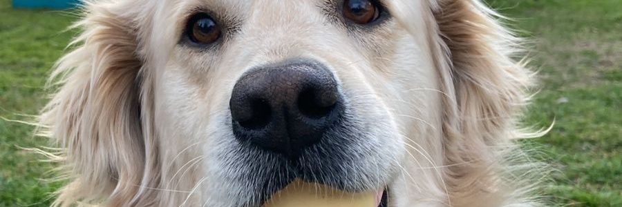 cduartenunez's profile banner image