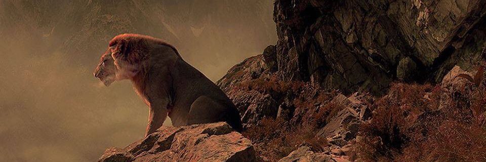 mat_lozano's profile banner image