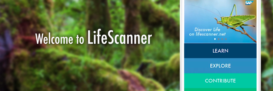 LifeScanApp's profile banner image
