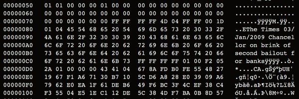Satoshi_N_ Profile Banner