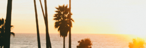 dicapriolasgdr's profile banner image