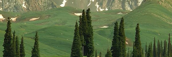 mizantropii Profile Banner