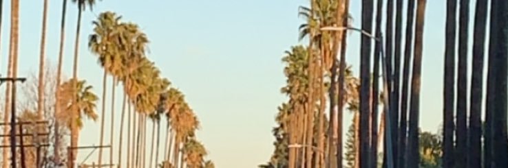 Matt Panetta banner
