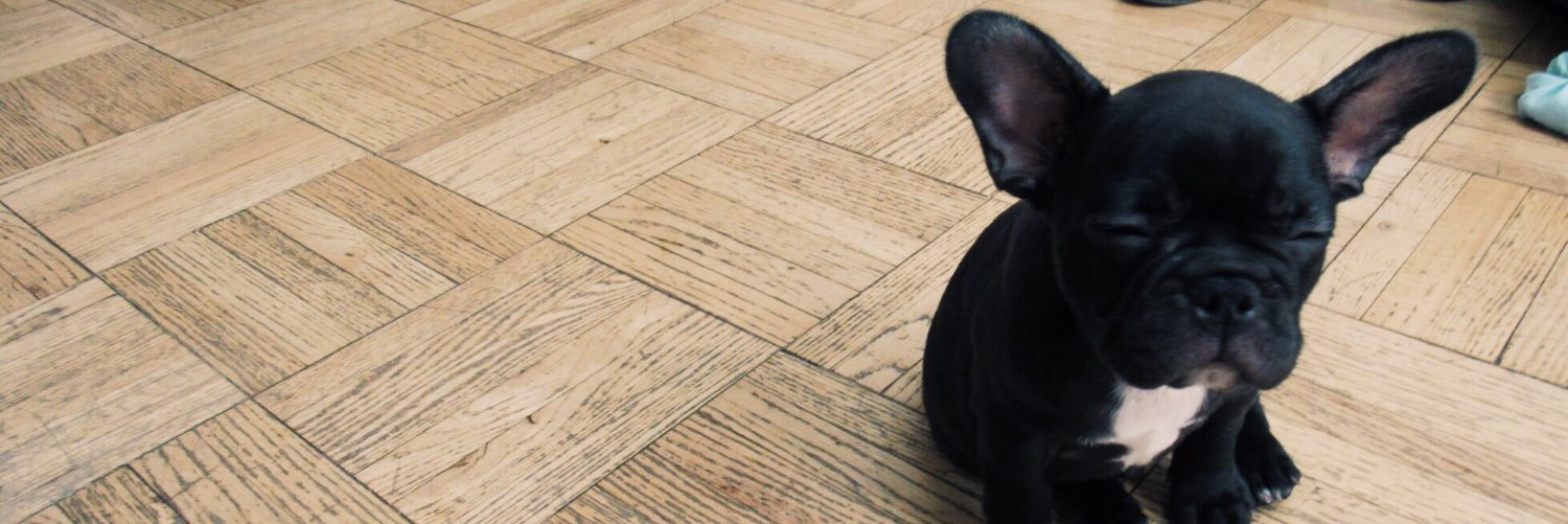 Claire Marie banner