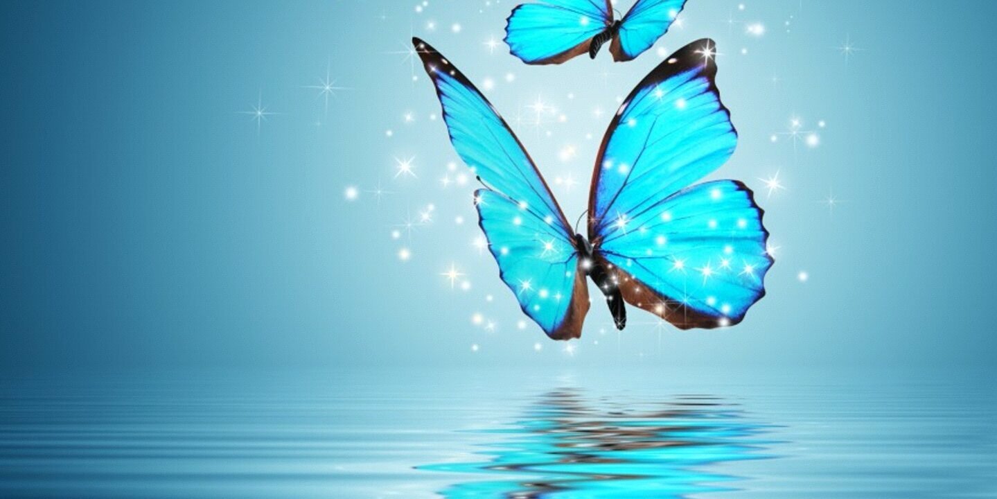 dunya5121's profile banner image