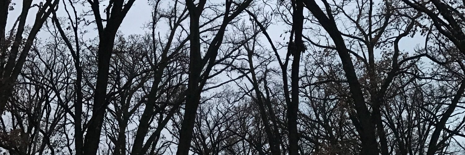 halveeg's profile banner image