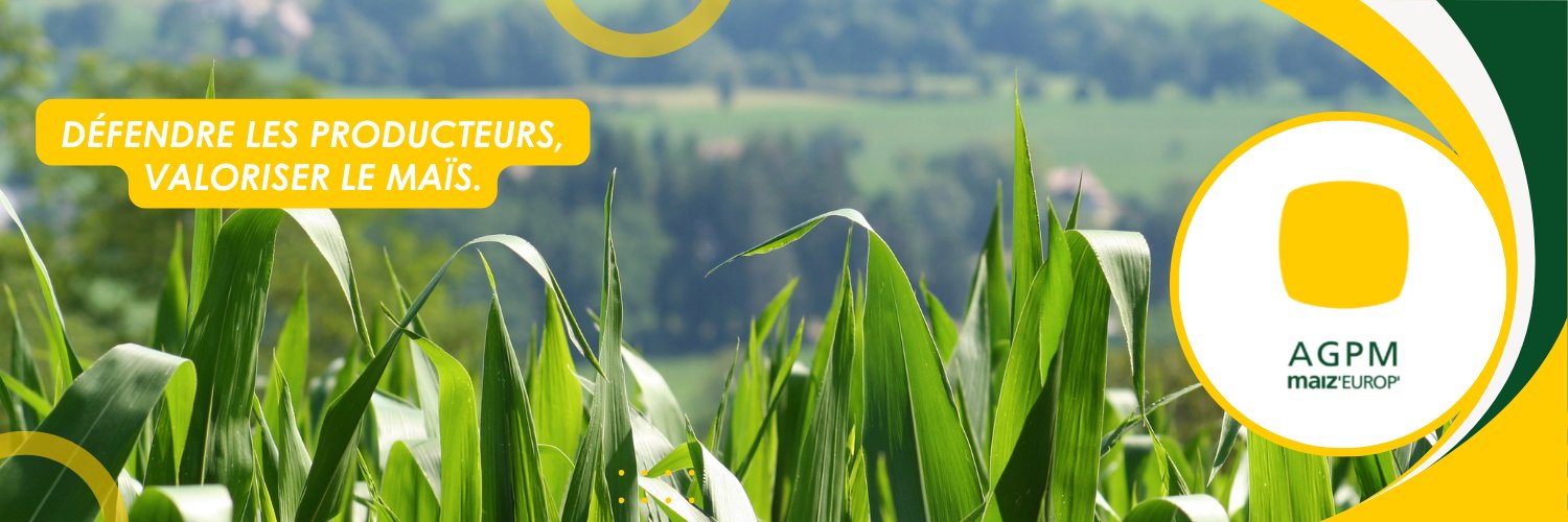 Franck LABORDE banner