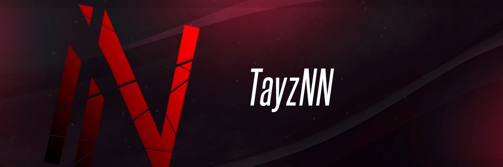 TayzNN's profile banner image