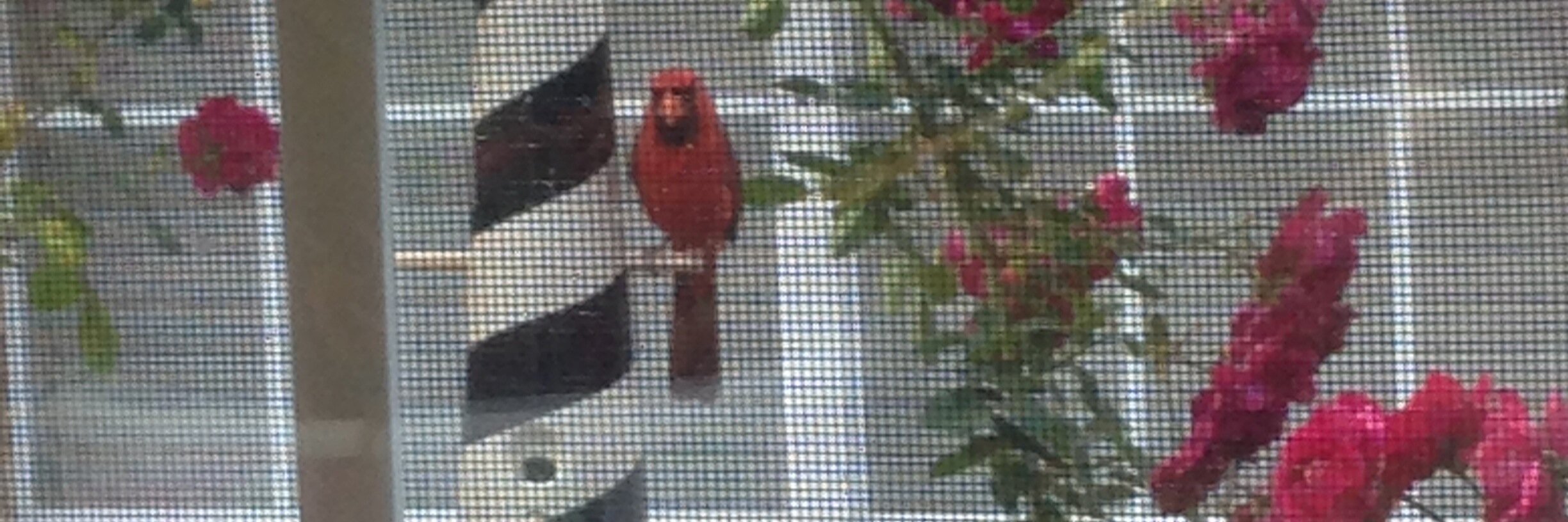 Natalie Finch banner