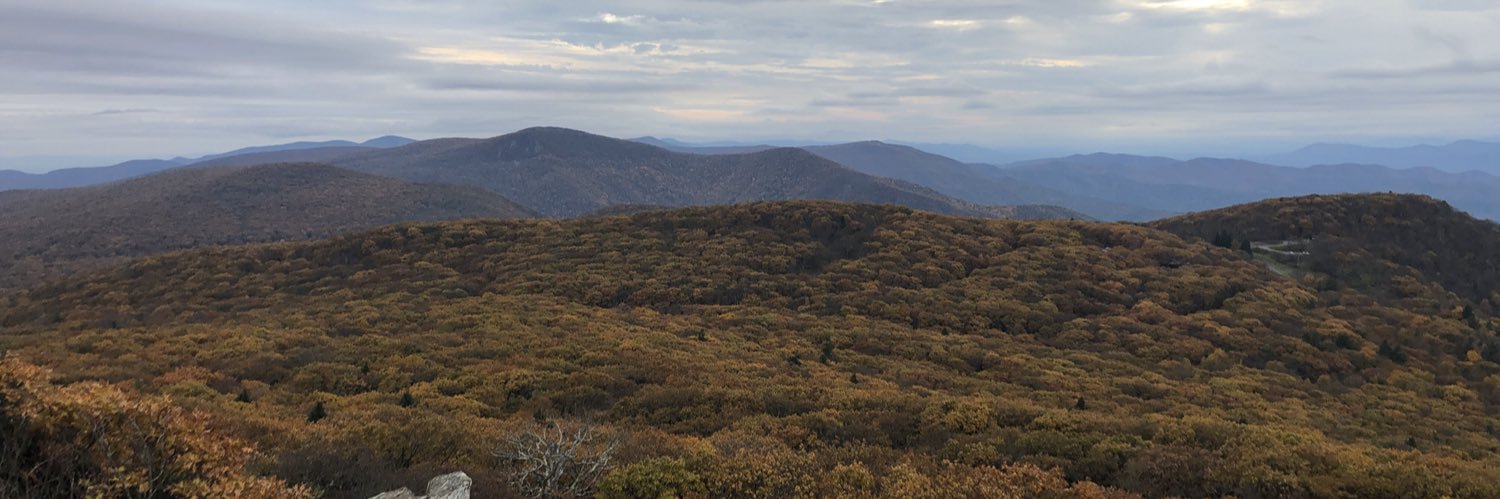 Vaidotas Urbelis banner