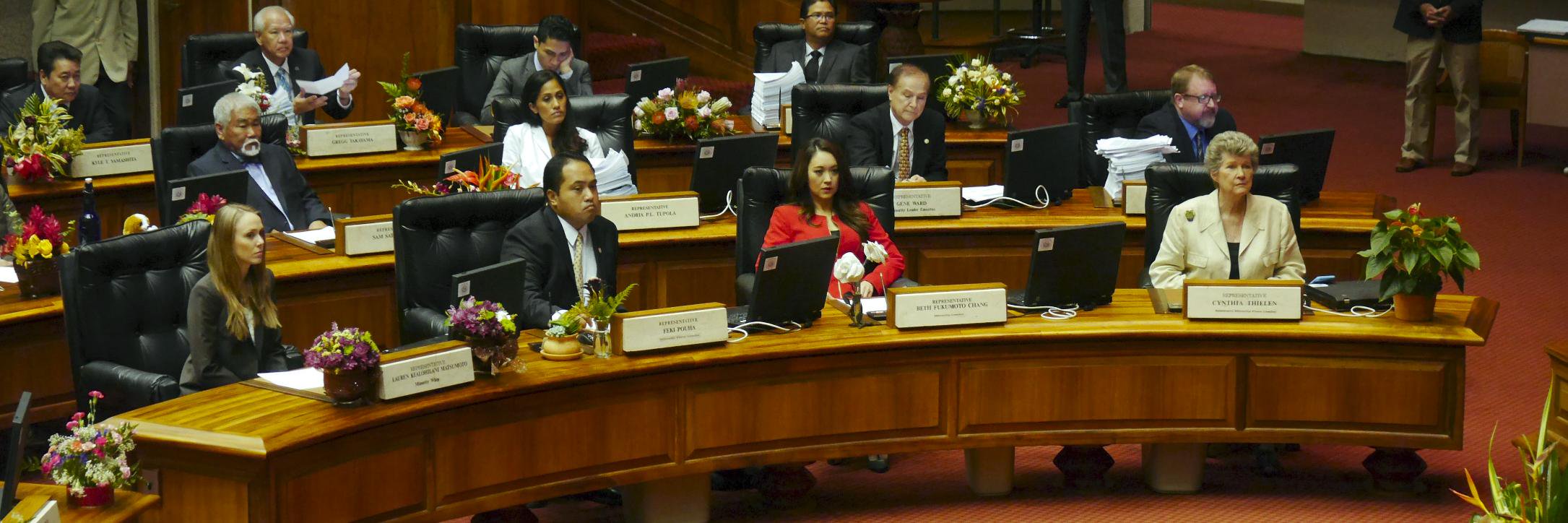 HawaiiHouseGOP's profile banner image