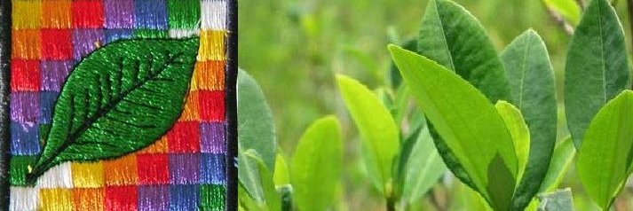 ADEPCOCA's profile banner image