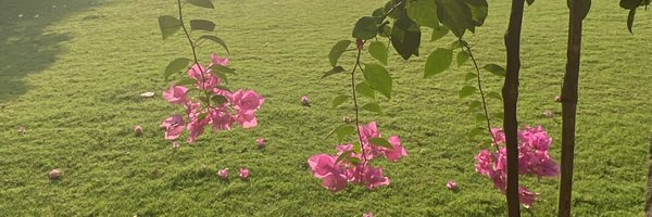 SunetraPawar Profile Banner