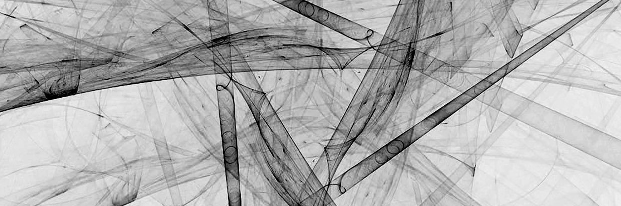 Sarah Fluck banner
