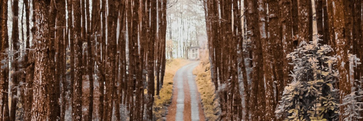 adhifaw's profile banner image