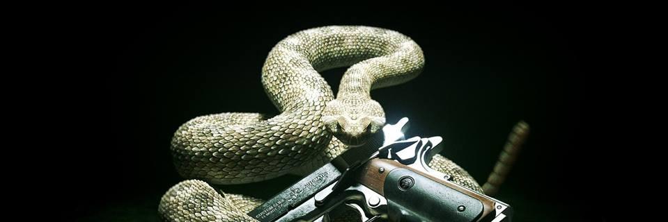 dirtyd411's profile banner image