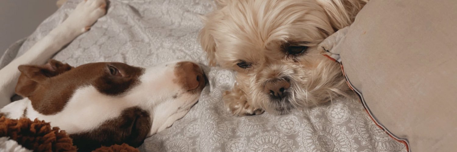 tay_lorrr_'s profile banner image