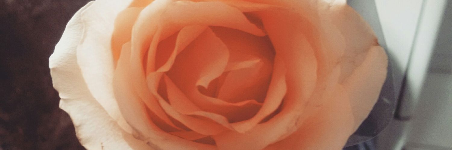 motta_may's profile banner image