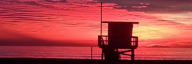 pamgray55's profile banner image