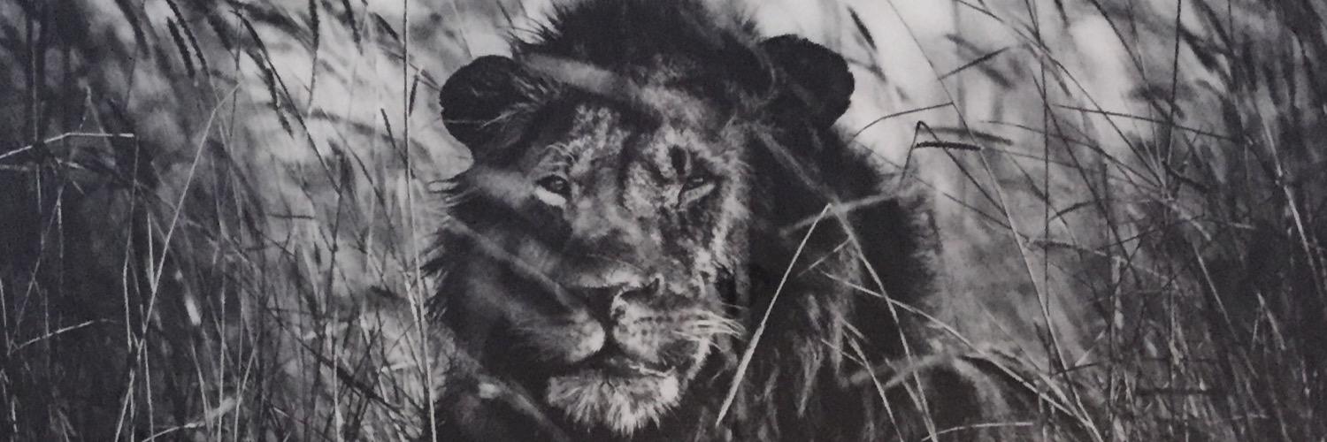 robbie lawler banner