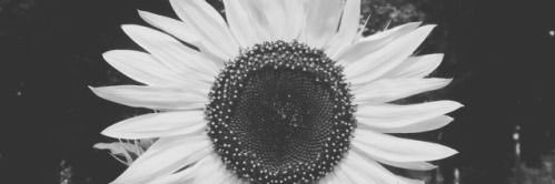 Krysten_Mariah1's profile banner image