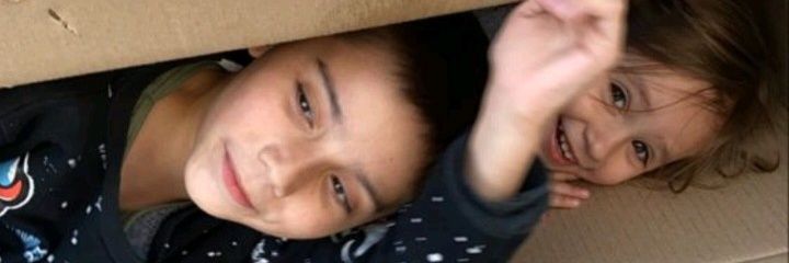 sofialivoncarp's profile banner image