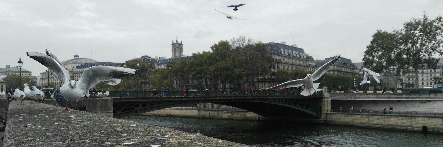 Jeremisjanot's profile banner image