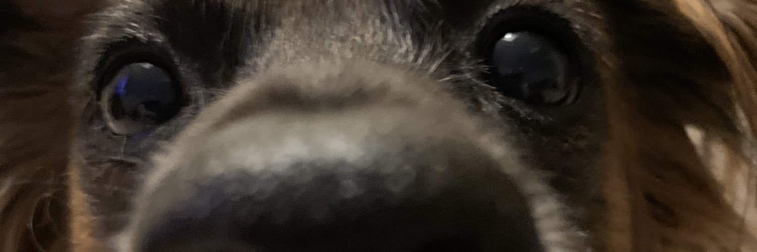 Nimbus_FPS's profile banner image