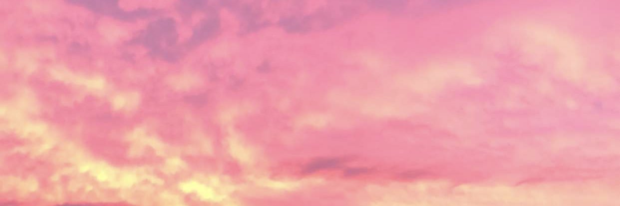 kylie_webbbb's profile banner image