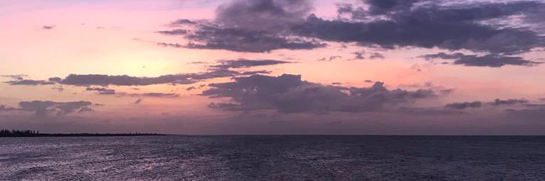 Caroherrera5's profile banner image