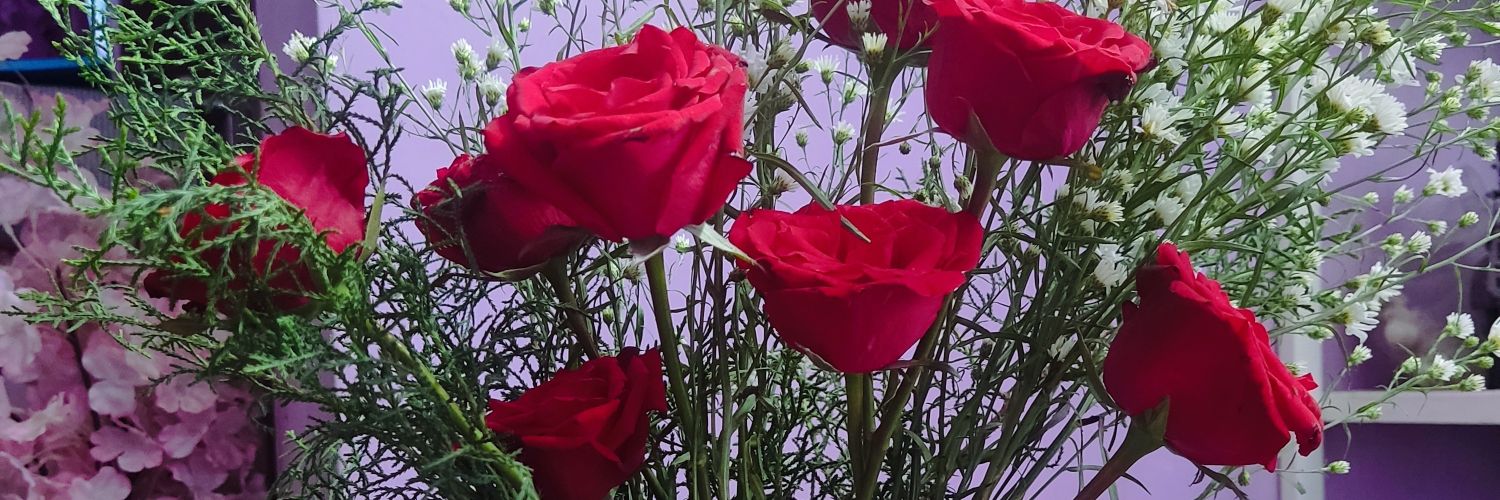 convexant's profile banner image
