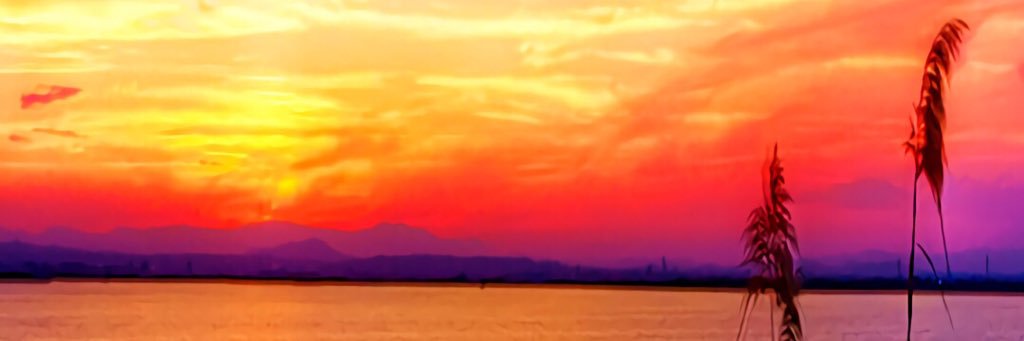 chicoilusiones's profile banner image