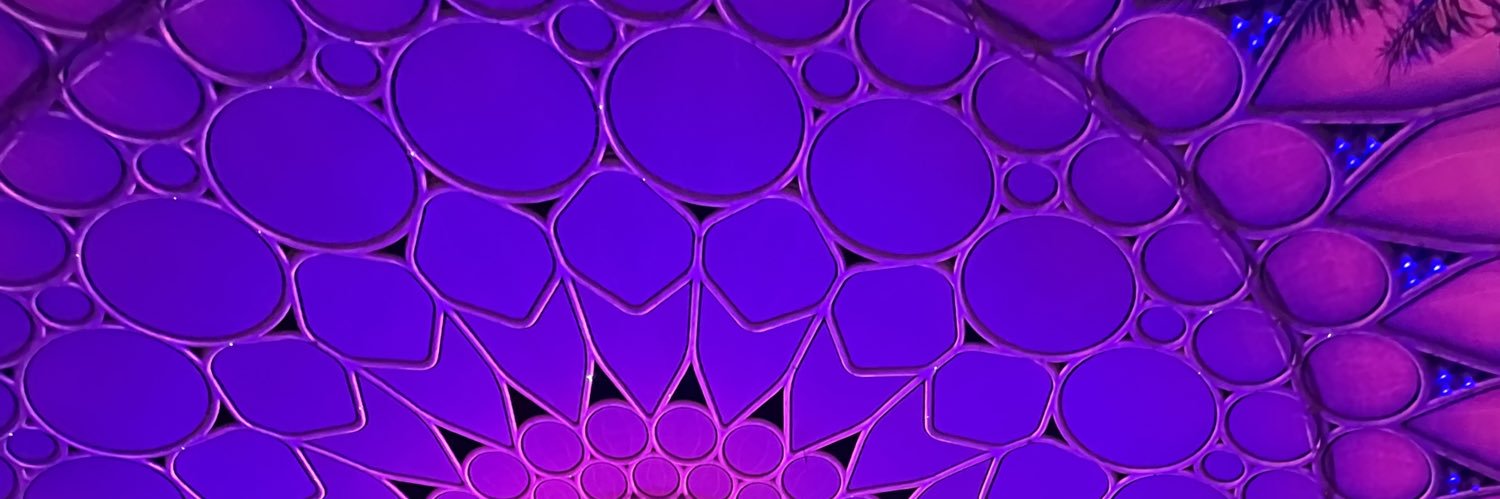Lenaro's profile banner image