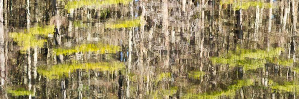 Daniel BOUTRIN banner