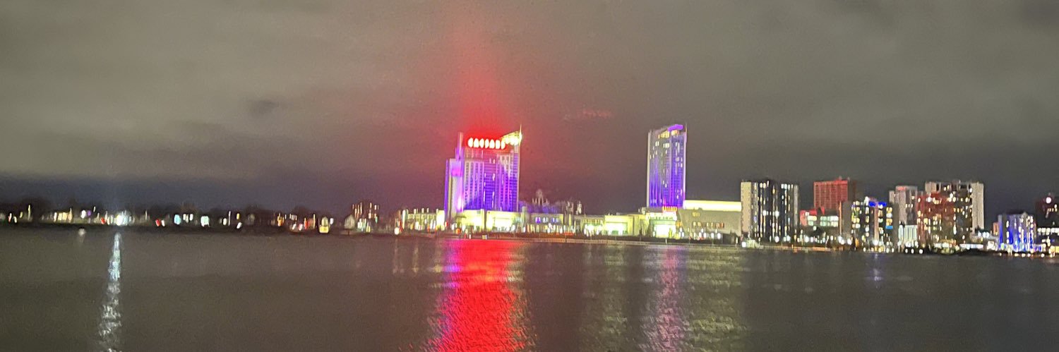 vn banner