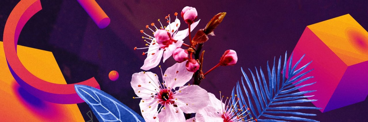 CapitalDscvr's profile banner image