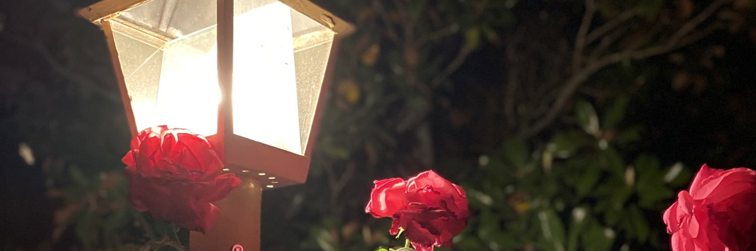 jaymiebrianne's profile banner image