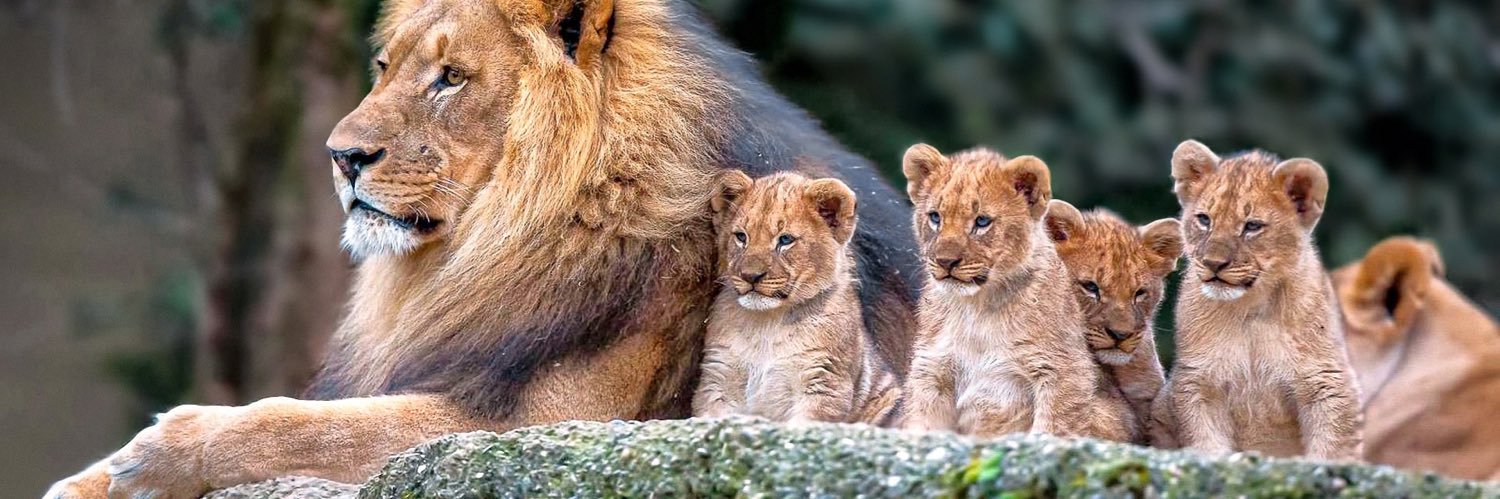 Carson Kharchla banner