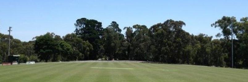 Belgrave CC banner