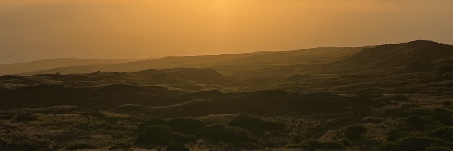 Braddah JΛY banner