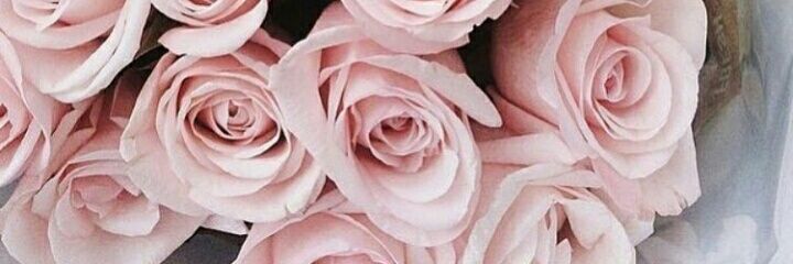 ASIE_COKILE's profile banner image